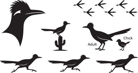 Fototapeta premium Roadrunner Bird Silhouette Set with Running Poses, Head Profile, Tracks, and Cactus - Desert Wildlife Vector Illustrations.