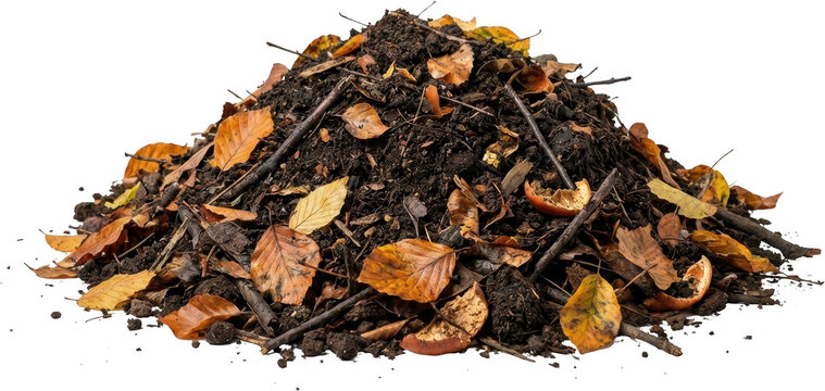 A pile of dark rich soil mixed with decomposing autumn leaves and small twigs showing natural decay and composting decomposition organic earth mulch garden nature dirt material