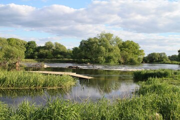 Obraz premium Calm river landscape with wooden walkway and lush green vegetation. Reflections of trees and clouds on water surface create peaceful natural scenery in summer.