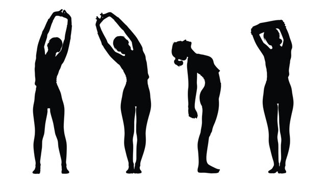 Silhouettes of women performing stretching exercises in a sequence high quality