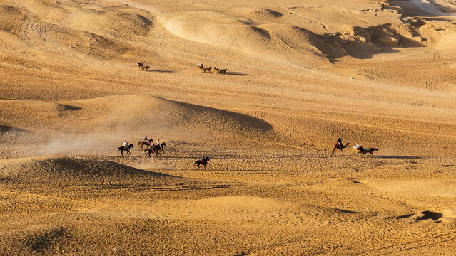 Horse Carriage and Horse Riding in Giza Desert