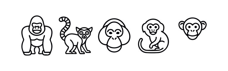 Primates and monkeys minimalist line art icons collection © liubomir118809