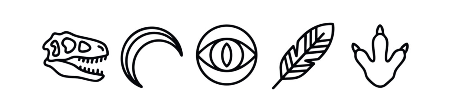 Clean Outline Paleontology and Dinosaur Themed Icons Set