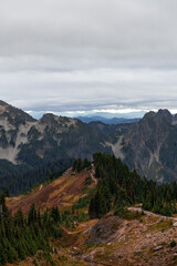 Fototapeta premium Autumn at Mount Rainier, WA