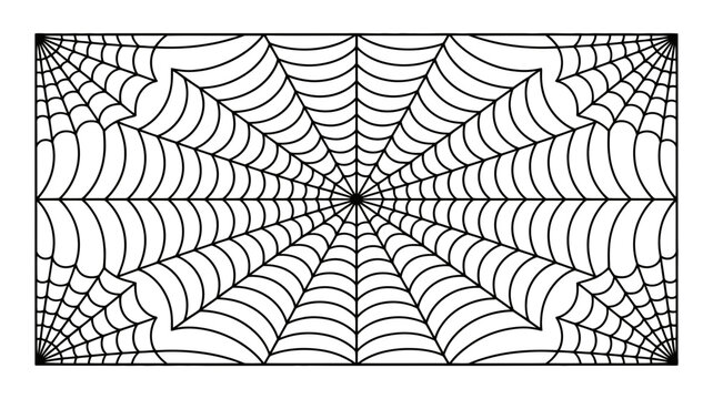 An intricate and expansive full-frame spider web illustration with radial patterns and corner details.