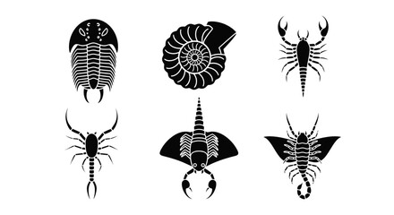 Prehistoric Aquatic Creature Silhouette Set with Trilobite and Ammonite Vector Illustration © Fajar