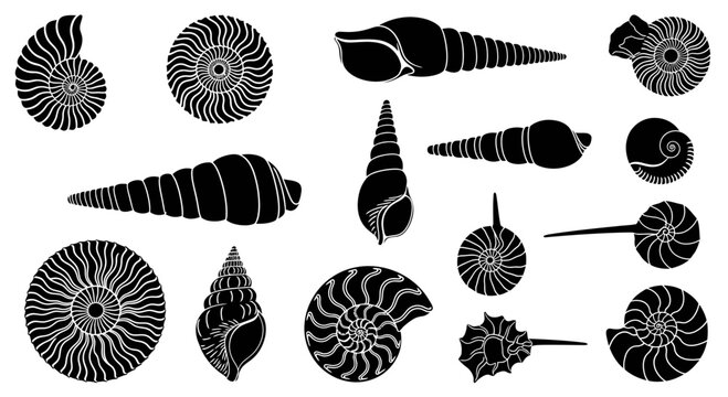 Prehistoric Sea Shell Fossil Silhouettes Vector Illustration and Ammonite Gastropod Design Elements
