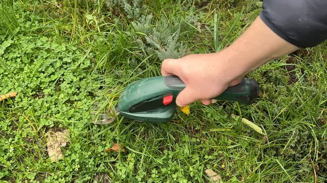 Hand holding a green electric grass trimmer over a lawn, close view of garden maintenance in progress, practical outdoor work mood