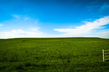 Fototapeta premium A wide green field stretches beneath a bright blue sky with scattered white clouds a wire fence runs along the front the open outdoor scene feels peaceful natural and calm