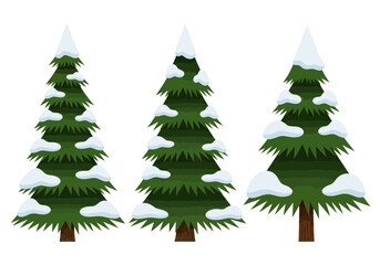 Fototapeta premium Set of Three Snowy Pine Trees Illustration - Winter Evergreen Fir Trees Isolated on White Background for Christmas and Holiday Design