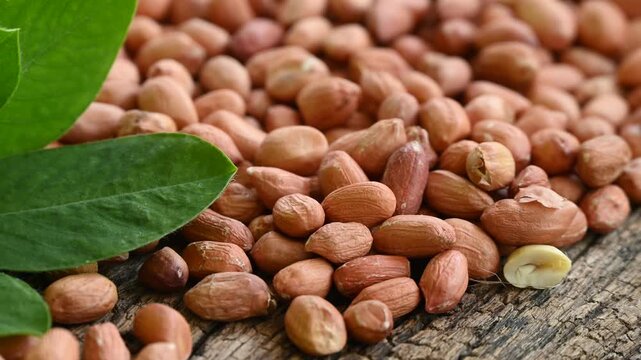 Raw peanuts in white bowl with green leaves on rustic wooden background
