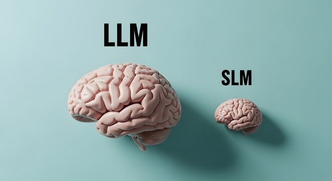 Llm vs slm comparing large small language models with brain imagery