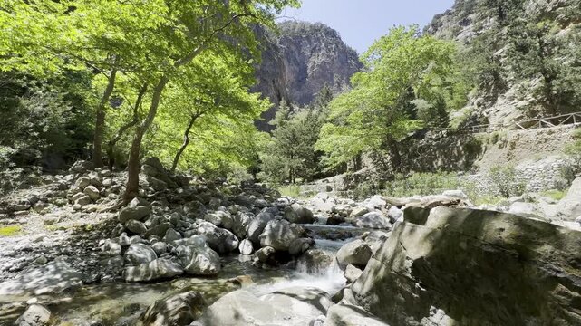 Wide-angle view of wonderful Samaria Gorge Valley along the tourist trail, with a meandering stream, bright green trees and towering rocky peaks - Crete, Greece