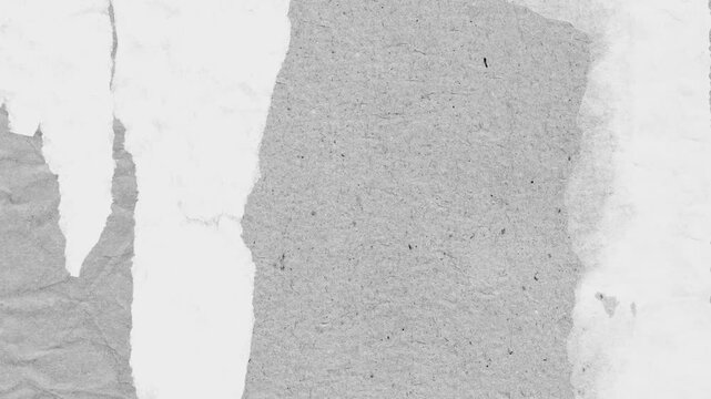 Abstract grayscale background with torn paper textures revealing subtle paper surfaces and elegant design elements