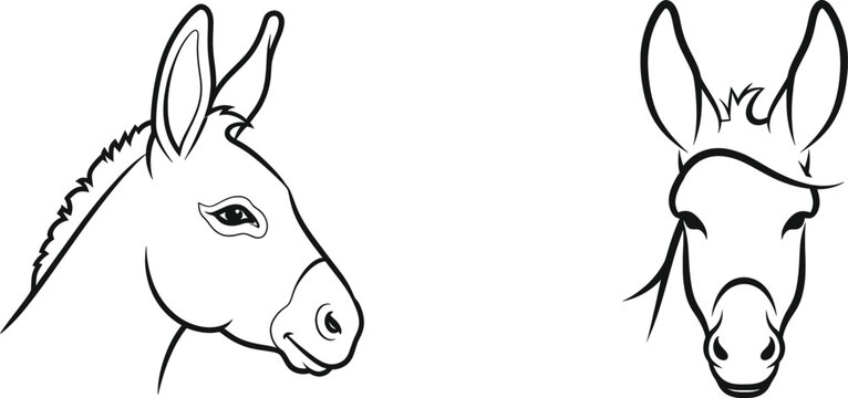 Donkey Day Line Art Icons, Profile and Frontal View Illustration