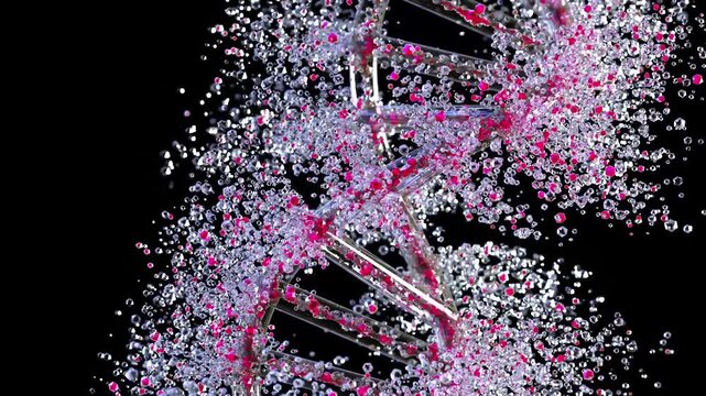 DNA molecule from glass crystals and pink are coming together. DNA has appearance, transparent on black background and green screen. can be used in science or medicine industry background. 3D Render.