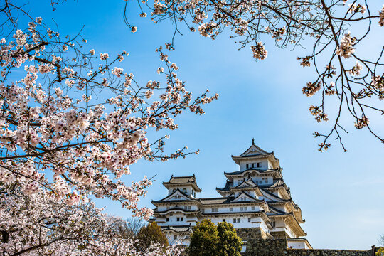 姫路城_江戸時代初期の建築がそのまま残る「現存12天守」の一つ、特に大天守と3つの小天守が渡櫓で結ばれた連立式天守の姿は壮観