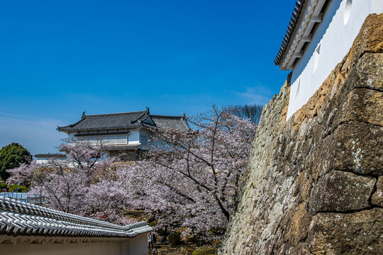 姫路城_江戸時代初期の建築がそのまま残る「現存12天守」の一つ、特に大天守と3つの小天守が渡櫓で結ばれた連立式天守の姿は壮観