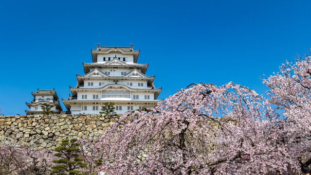 姫路城_江戸時代初期の建築がそのまま残る「現存12天守」の一つ、特に大天守と3つの小天守が渡櫓で結ばれた連立式天守の姿は壮観