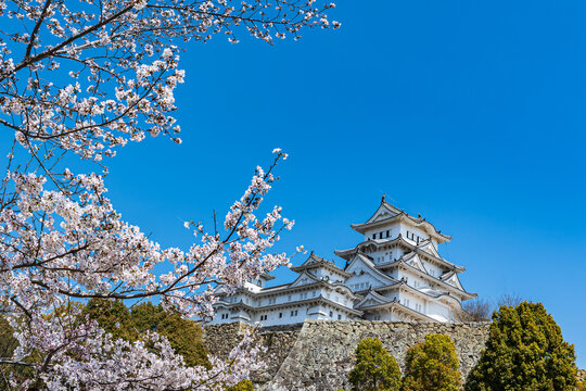 姫路城_江戸時代初期の建築がそのまま残る「現存12天守」の一つ、特に大天守と3つの小天守が渡櫓で結ばれた連立式天守の姿は壮観