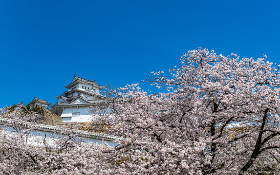 姫路城_江戸時代初期の建築がそのまま残る「現存12天守」の一つ、特に大天守と3つの小天守が渡櫓で結ばれた連立式天守の姿は壮観