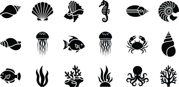 Collection of black silhouette of marine life and shells seashell conch scallop seahorse nautilus