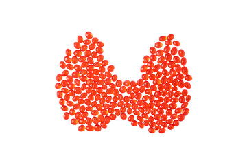 Thyroid gland isolated on transparent background. Medical concept of endocrine system, hormone regulation, and human health.