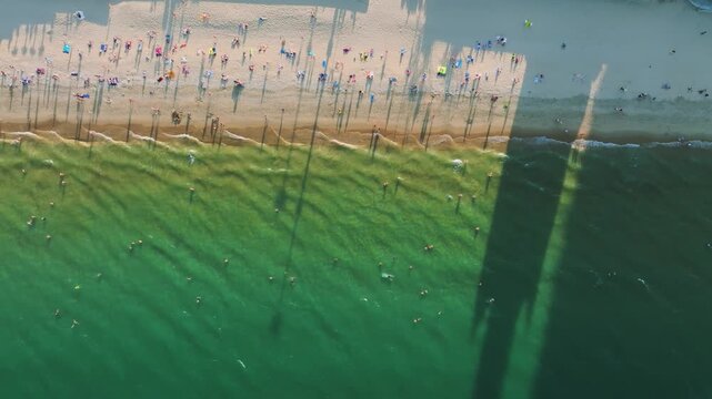 Top Down Crowd of tourists on tropical beach during summer sunset aerial drone shot in Nha Trang beach, Vietnam
the activity of tourists bathing in clear blue water. a vibrant scene of white beach umb