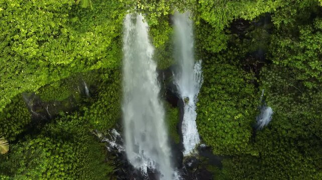 Aerial view Sendang Gile Waterfall flowing down, surrounded by vibrant green tropical foliage and dense jungle forest, creating refreshing natural scene in North Lombok, Indonesia. Natural background