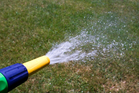 Watering growing green grass with a hose