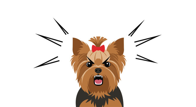 Aggressive and angry little yorkshire terrier dog barking loudly with sharp teeth showing and black lines for emphasis.