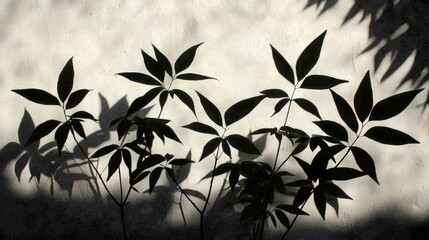 Obraz premium Plant with leaves on a wall