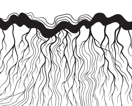 Abstract Black and White Root System