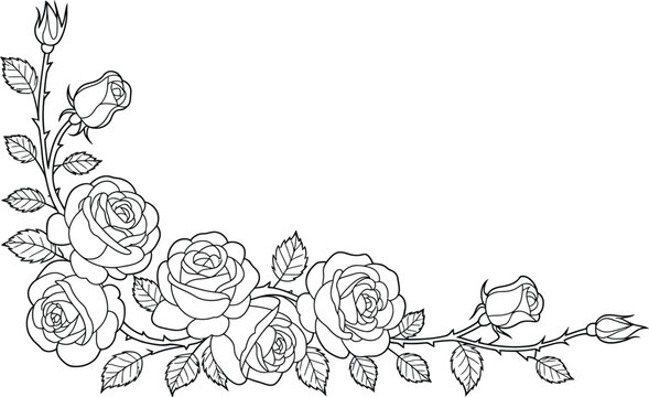 Rose corner floral border illustration, elegant line art design with detailed leaves and thorns for decorative frame, wedding, and invitation graphics.