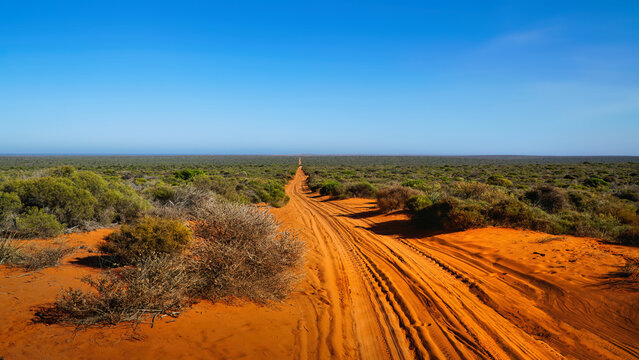 Francois Peron National Park, located on a remote peninsula in Western Australia's Shark Bay World Heritage Area red dirt road through arid scrubland