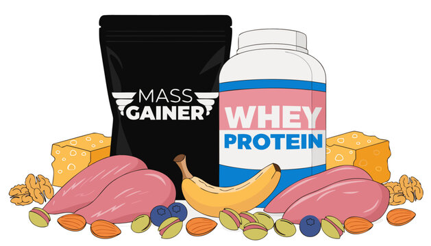 Professional fitness nutrition vector illustration set featuring mass gainer pouch, whey protein jar, and high protein whole foods like chicken breast, eggs, nuts, and fruit on white background..eps