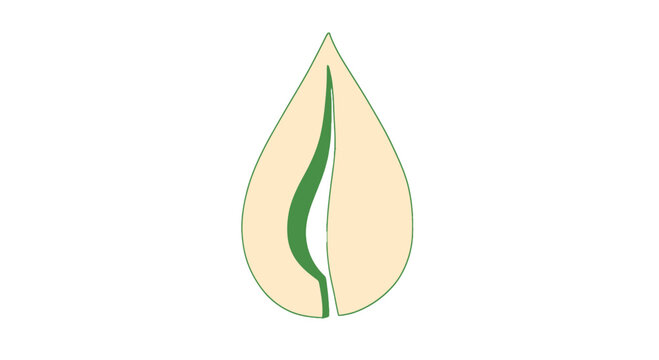 Simple Leaf Illustration with Green Stem.