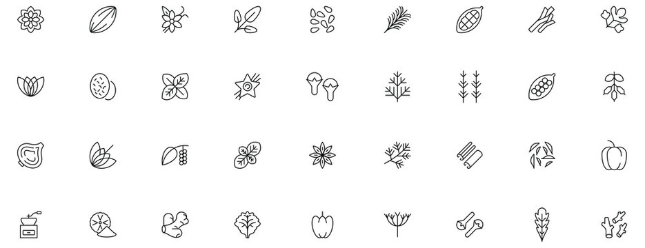 Set of 35 spices and herbs line icons, illustrating a variety of aromatic ingredients for cooking.