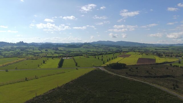 Aerial view of the boundary between native bush and expansive farmland in rural New Zealand. A clear look at land use and agricultural development in NZ