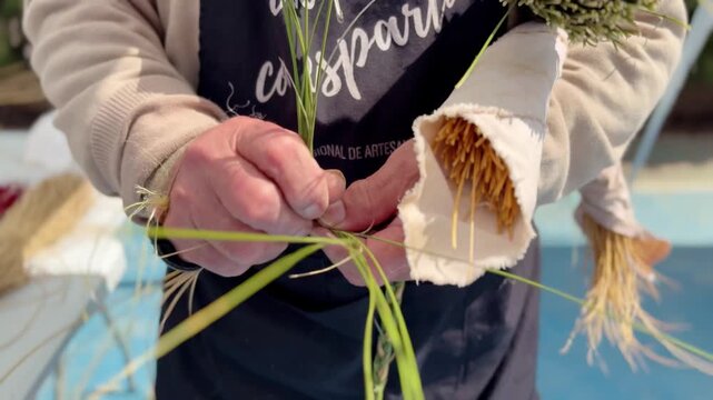 Close up of elderly farmer hands weaving esparto grass braid. Traditional craft, rural lifestyle, handmade work, texture and detail of artisan skill.