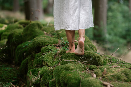 Close-up of bare feet walking across green moss in forest nature, grounded and in harmony