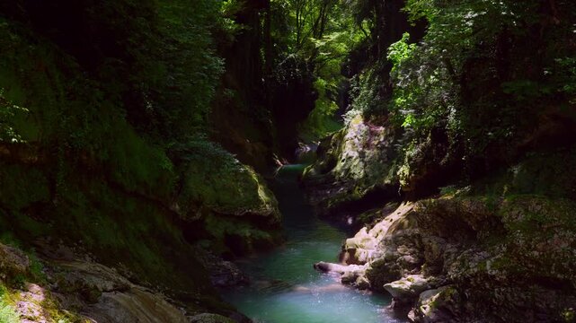 A beautiful mountain river with clear turquoise water flows through a deep, mossy canyon. Lush green forest and sunlight create a serene, wild, and picturesque landscape