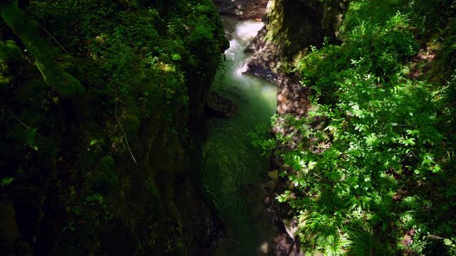High angle view of a pristine river flowing through a narrow, deep canyon. Lush green foliage and moss cover the rocky walls, with sunlight illuminating one side, creating a beautiful contrast