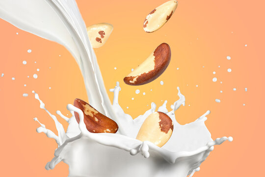 Brazil Nuts Falling Into Milk Splash Isolated on Gradient Background