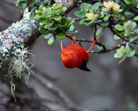 Turn Another Leaf