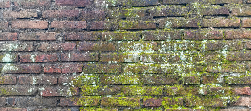 old brick wall