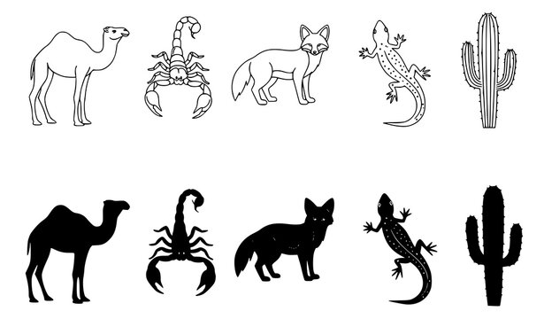 Desert animal and plant icons set featuring camel scorpion fox lizard and cactus in both outline and solid black silhouette vector graphic style