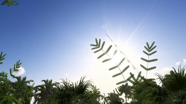 Sunlight Through Tropical Leaves Blue Sky Nature Background Footage