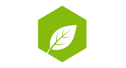 Obraz premium Green hexagon logo with a white leaf