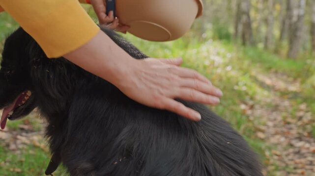 Camper hand petting black dog on forest path, close interaction with leash and warm touch, panting dog relaxed amid green foliage at campsite, candid outdoor moment of companionship